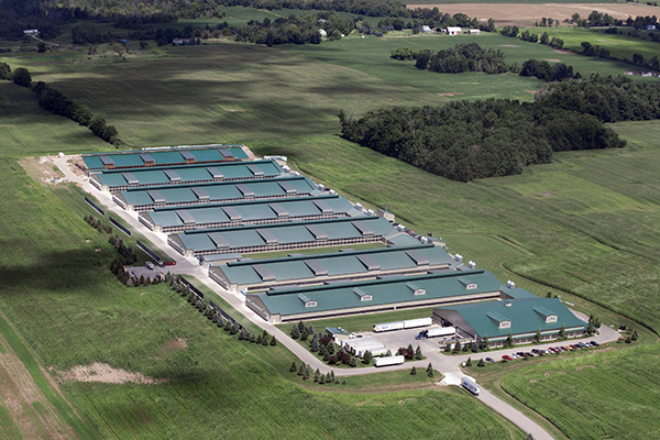 Anhui Diamond Peak Co.,Ltd